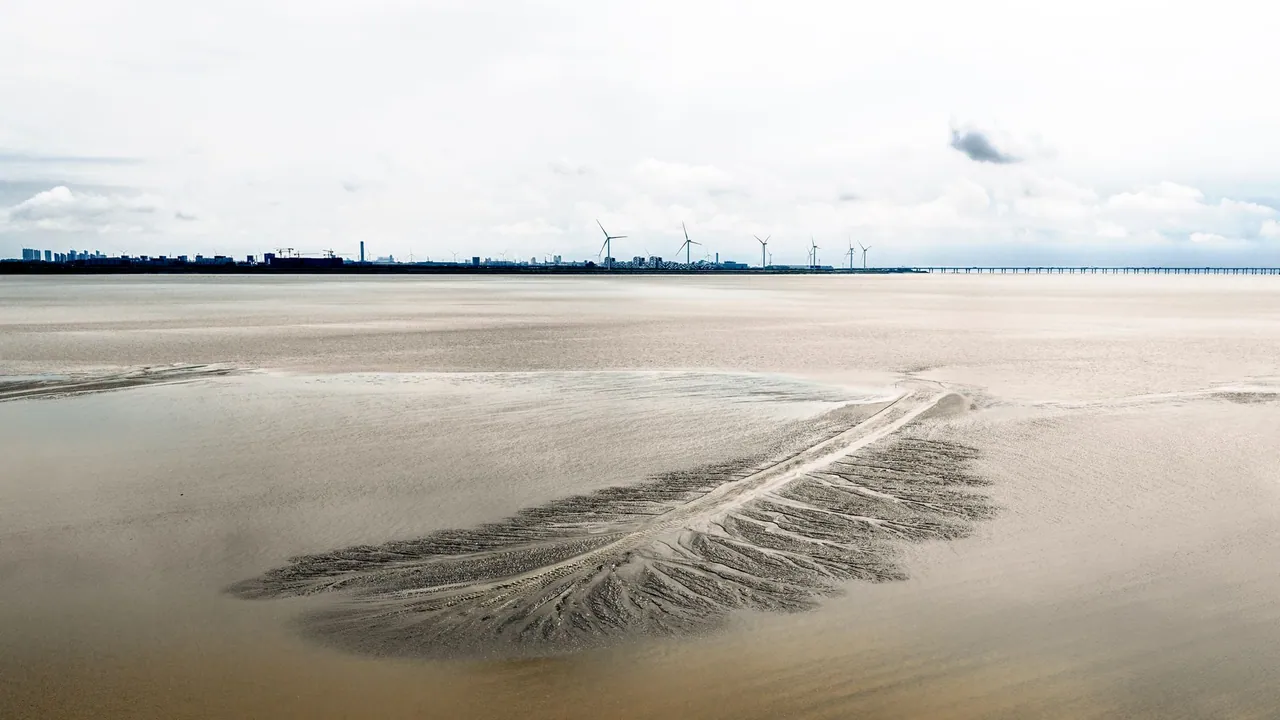 Ho Chi Minh Şehri'nden 6.000 MW kapasiteli açık deniz rüzgar enerjisi projesine destek