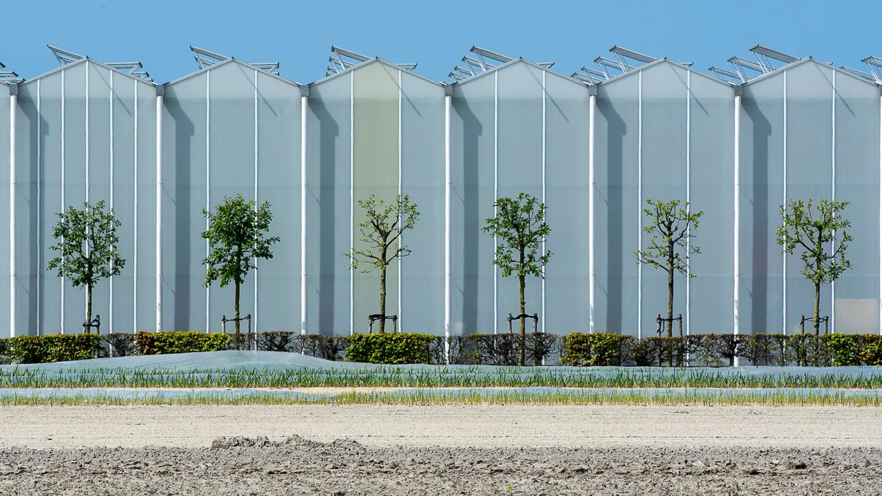 Şişecam, GlassBuild America Fuarı'nda Kuzey Amerika Pazarına İleri Teknoloji Cam Çözümleri Sunacak