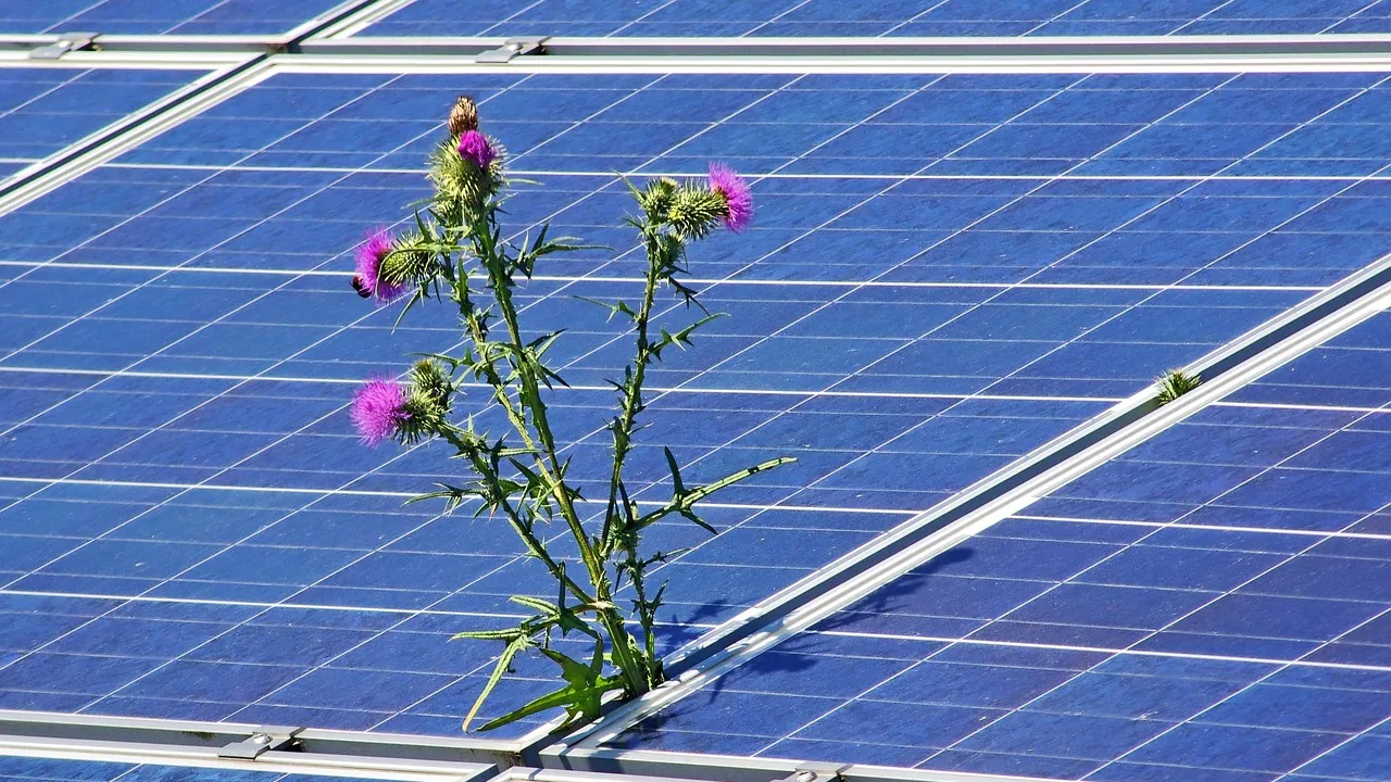 İş Bankası Öz Tüketim Amaçlı Yenilenebilir Enerji Gücünü 45 Megavata Çıkardı