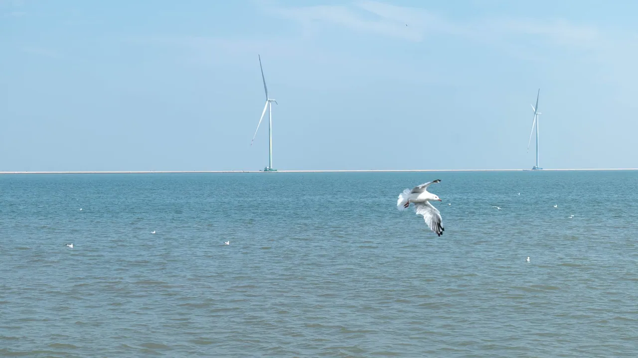 Güney Marmara'nın Enerji Potansiyeli Offshore Wind 2026’da Ele Alındı