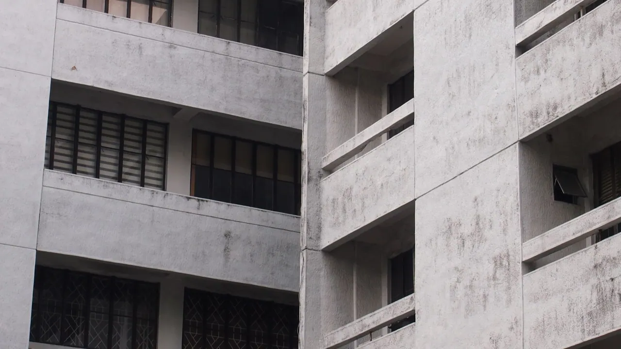 ArchDaily ve WMF'ten Modernist Miras İçin Yeni Ortaklık