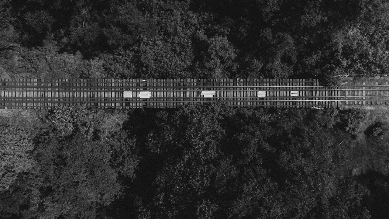 INRAIL Kuzey Demiryolu Projesi'ne ÇED ve İhale Süreci Eleştirisi